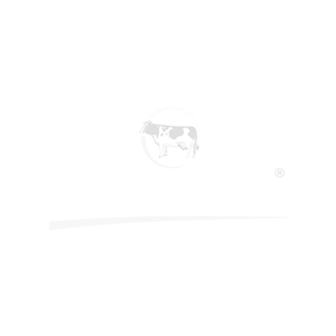 Barraza