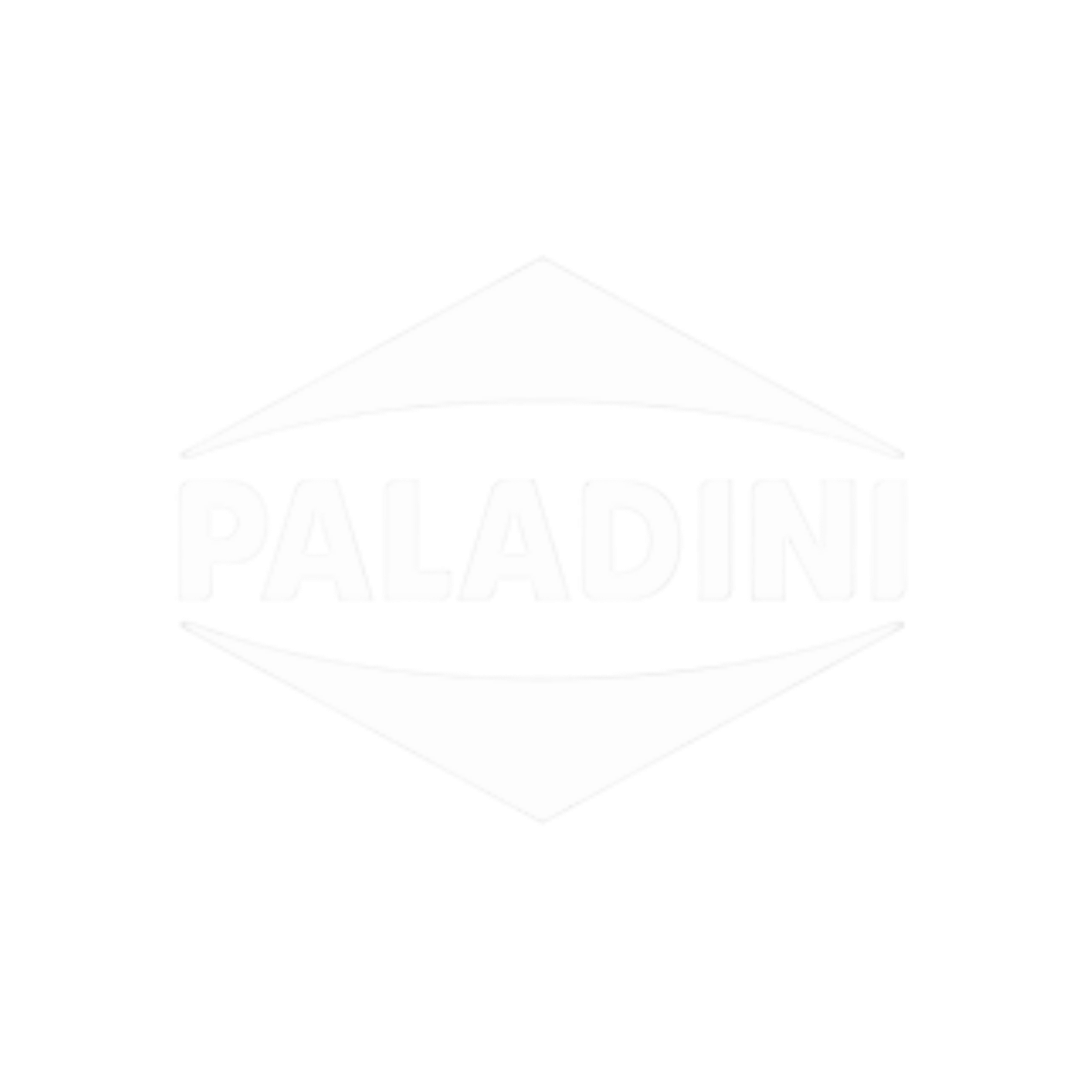 Paladini